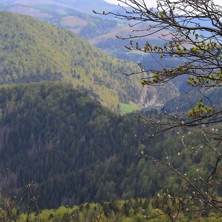 Penzion Thamasy Spisske Tomasovce Экстерьер фото
